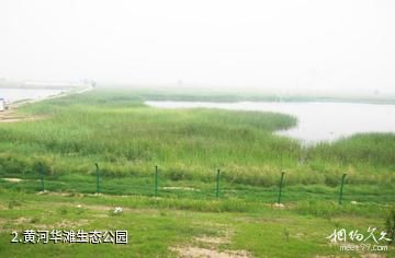 垦利黄河华滩生态公园-黄河华滩生态公园照片