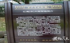 湖南長沙市博物館旅遊攻略之大炮介紹