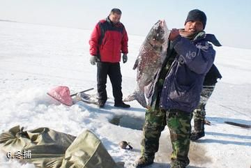 鸡西八五六青山湖旅游度假区-冬捕照片