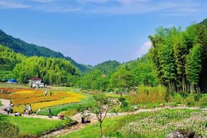 安徽安慶潛山水吼旅遊攻略-水吼鎮景點排行榜