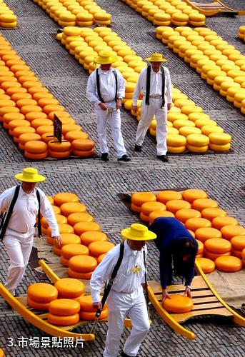 荷蘭阿克馬乳酪市場-市場照片