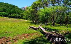 丹東鳳城雞冠山旅遊攻略之通天溝