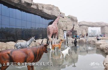 東營黃河三角洲動物樂園-黃河三角洲動物樂園照片