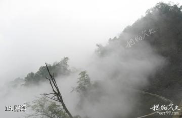 什邡蓥华山风景区-雾海照片
