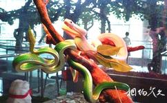 大连旅顺蛇博物馆旅游攻略之绿树蟒和缅甸蟒