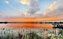 徐州潘安湖濕地公園旅遊攻略之濕地