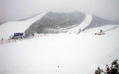 大連銘湖國際溫泉滑雪度假村旅遊攻略之中高級雪道