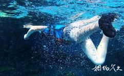重庆汉海海洋公园旅游攻略之浮潜馆