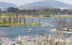 上海辰山植物园旅游攻略之春景园