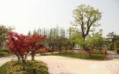 上海辰山植物园旅游攻略之盲人植物园