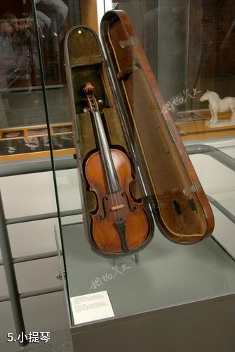 丹麦卡尔·尼尔森博物馆-小提琴照片
