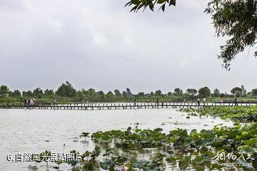 泗洪穆墩島-自然風光照片