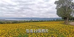 彌勒太平湖森林小鎮驢友相冊