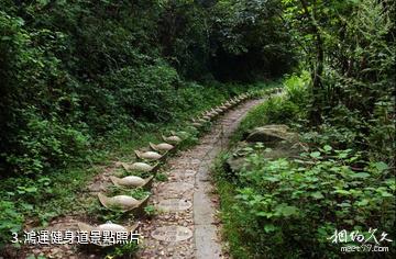 廣水中華山森林公園-鴻運健身道照片