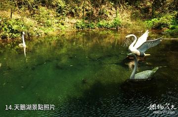 郴州王仙嶺旅遊區-天鵝湖照片