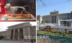 北京自然博物館驢友相冊