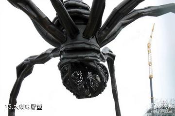 加拿大渥太华市-大蜘蛛雕塑照片