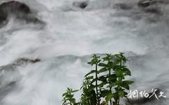 新疆天山天池旅遊攻略之懸泉飛瀑(東小天池瀉水瀑布)