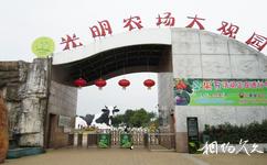 深圳光明農場大觀園旅遊攻略之光明農場大觀園