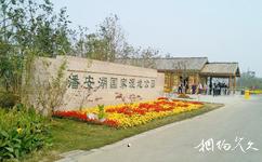 徐州潘安湖濕地公園旅遊攻略之濕地公園