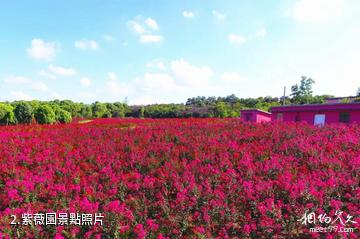 株洲茶陵花湖谷景區-紫薇園照片