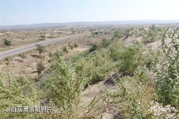 寧夏靈武白芨灘國家級自然保護區-白芨灘照片