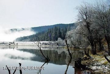 保山北廟湖公園-北廟湖的冬天照片