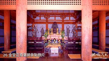 日本醍醐寺-金堂正尊藥師照片