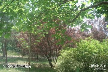 淄博奎盛園-植物園照片