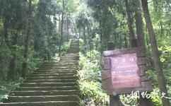 重慶歌樂山國家森林公園旅遊攻略之歌樂生態登山道