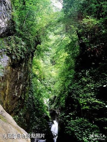 雅安東拉山大峽谷風景區-夏季景色照片