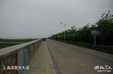 上海奉贤海湾旅游区-海滨观光大道照片