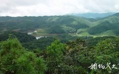云南哀牢山国家级自然保护区旅游攻略