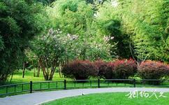 北京紫竹院公园旅游攻略之绿毯诗韵