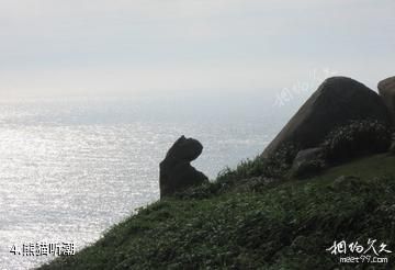 浙江南麂列岛海洋国家级自然保护区-熊猫听潮照片