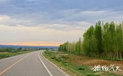 新疆古尔班通古特沙漠旅游攻略之沙漠公路
