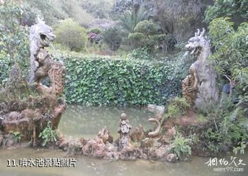 文山西華公園-噴水池照片