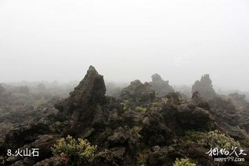 新西兰汤加里罗国家公园-火山石照片