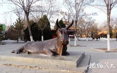 寧夏銀川中山公園旅遊攻略之西夏銅牛