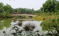 北京奥林匹克森林公园旅游攻略之人造湿地