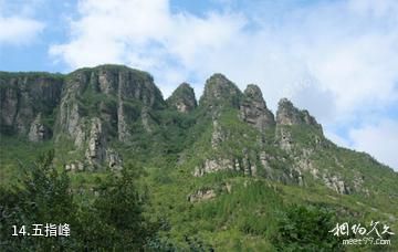 卫辉跑马岭地质公园-五指峰照片
