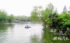 上海長風公園長風海洋世界旅遊攻略之水禽池