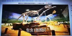 重庆永川博物馆驴友相册