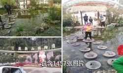 重庆南山植物园驴友相册