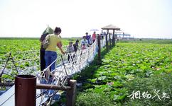 大慶黑魚湖生態旅遊攻略之弔橋