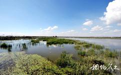 哈爾濱呼蘭河口濕地公園旅遊攻略之濕地