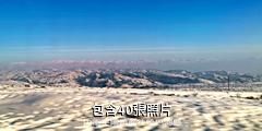 哈巴河白樺林景區驢友相冊