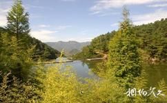 魯山國家森林公園旅遊攻略之雨林景區