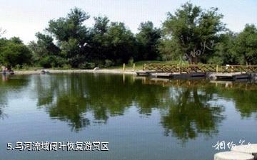 乌鲁木齐燕尔窝风景区-乌河流域阔叶恢复游赏区照片