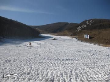 张家口塞北滑雪场-大雪道照片
